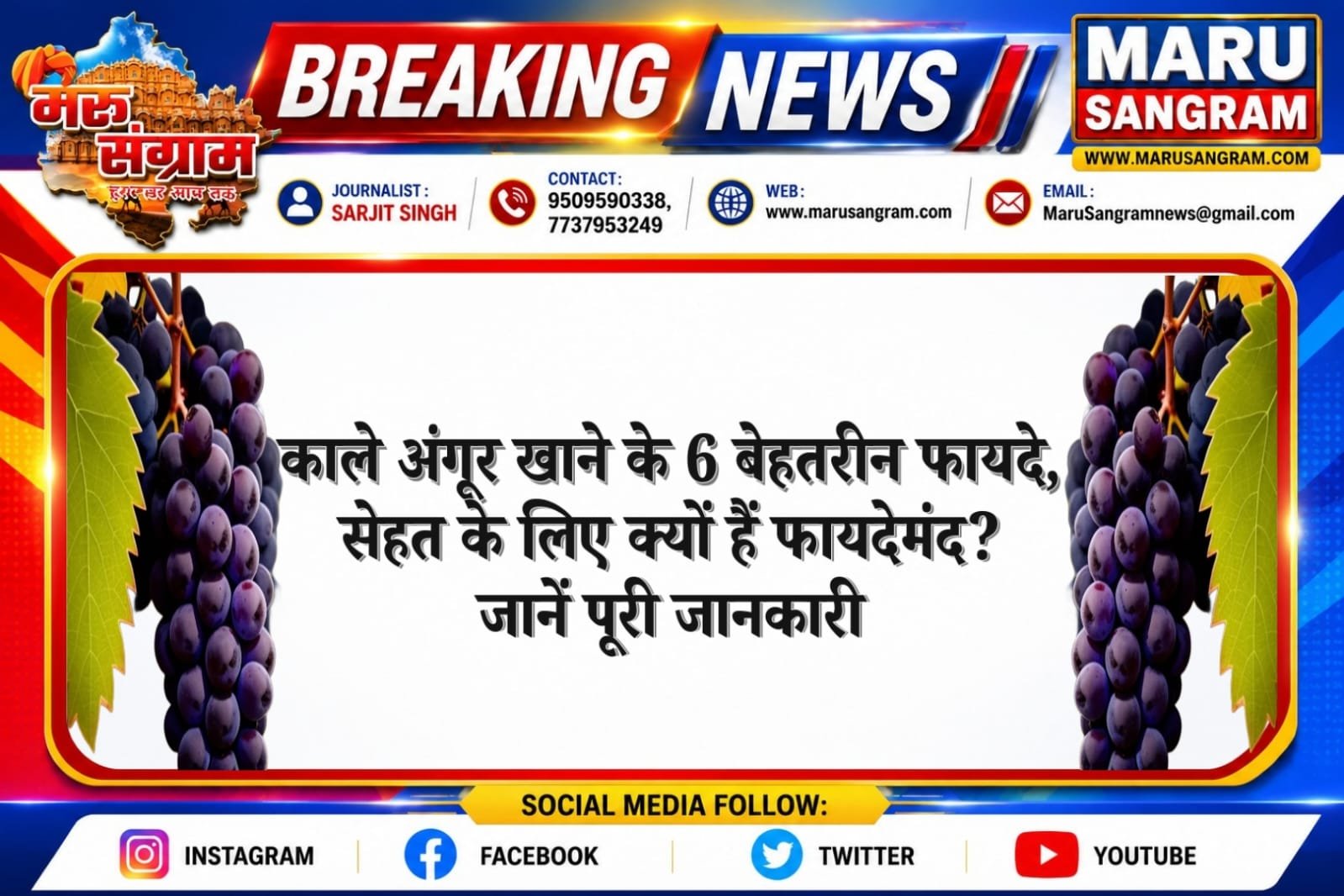 काले अंगूर खाने के 6 बेहतरीन फायदे, सेहत के लिए क्यों हैं फायदेमंद? जानें पूरी जानकारी….